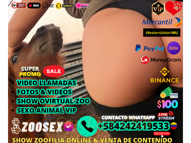 ZOOSEX ONLINE SHOW EN VIVO VENTA DE CONTENIDO PORNO ONLINE ESTADOS UNIDOS