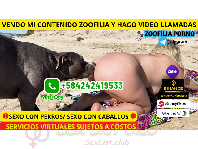 ZOOFILIA PORNO ONLINE FLORIDA CITY ESTADOS UNIDOS SEXO ANIMAL FETICHE VIP