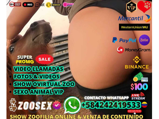 ZOOSEX PORNO VIRTUAL WEBCAM ZOOSEX VENTA DE NUDES ZOO PORNO VIP