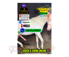CULONA ZOOFILIA PORNO MODELO FETICHISTA VENTA ZOO PORNO ONLINE VIP