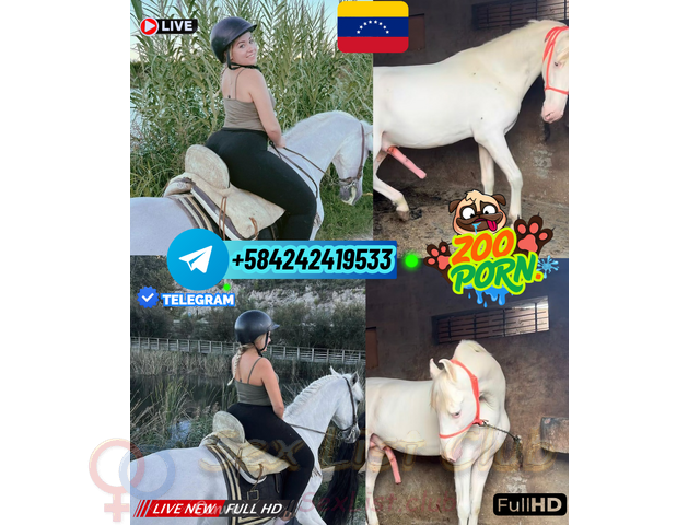 ZOO PORNO TELEGRAM RUBIA CACHONDA FETICHISTE PORNO ZOOSEX VIP