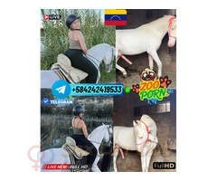 ZOO PORNO TELEGRAM RUBIA CACHONDA FETICHISTE PORNO ZOOSEX VIP