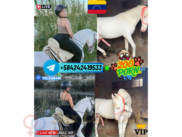 ZOOSEX PUTA FETICHISTA PORNO ANIMAL ONLINE TELEGRAN VENTA CHICA VIP