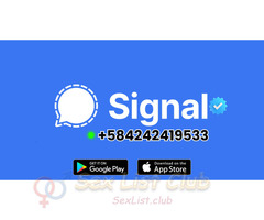 SEXO ESCORT CARACAS VENEZUELA DAMA DE COMPAÑIA SEXUALES EXCLUSIVOS