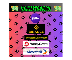 ZOOSEX ANIMAL PORN FOR SALE ONLINE VIRTUAL ZOO GIRL ZOOSEX