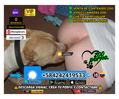 EXPERIENCIA SEXUAL CON MI PERRO PUTA PENETRADA POR PERRO GRANDE