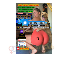 ZOOSEX PORNO REAL ANIMAL VIRTUAL VENTA VIP