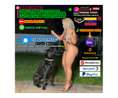 BELLA DAMA ONLINE FETICHISTA SEX PORNO VIP