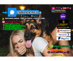 ZOOPORNO SEX NUDES SALE PACK PORN ZOOSEX