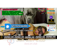 ANIMAL PORN SEX VIRTUAL VANTA NUDES CAM SEX